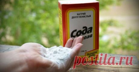 Дрожжи, сода и горчица - огород преобразится! Оказывается, продуктовые магазины пользуются популярностью не только у людей. Там могут подобрать себе питание и садовые растения! Да, да, вы не ошиблись! Некоторые продукты питания и приправы могут сослужить хорошую службу в …