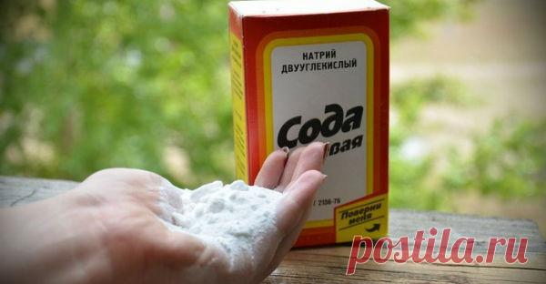 Дрожжи, сода и горчица - огород преобразится! Оказывается, продуктовые магазины пользуются популярностью не только у людей. Там могут подобрать себе питание и садовые растения! Да, да, вы не ошиблись! Некоторые продукты питания и приправы могут сослужить хорошую службу в …