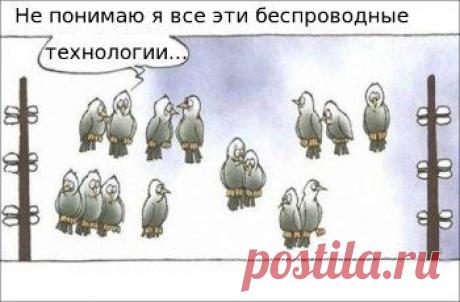 АСН | Страховщиков ОСАГО отправят в онлайн