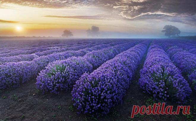 Топ -24 фото природы, удивляющей своей красотой и непревзойденностью!