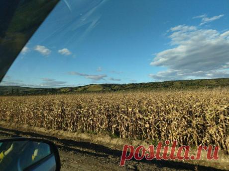 Заглянула в осенний старинный яблоневый сад, и путешествие по Кубани продолжается
Мы с удовольствием смотрим и узнаём как выглядят на дереве мандарины, гранаты, бананы, а я сегодня хочу провести читателя по старым Кубанским садам и посмотреть, как же растут не заморские, а наши яблочки. А дорога в Кубанскую станицу ни чуть не хуже самих садов, посмотрите, какая красота! Кукуруза на полях уже готова к уборке. Кукуруза […]
Читай дальше на сайте. Жми подробнее ➡