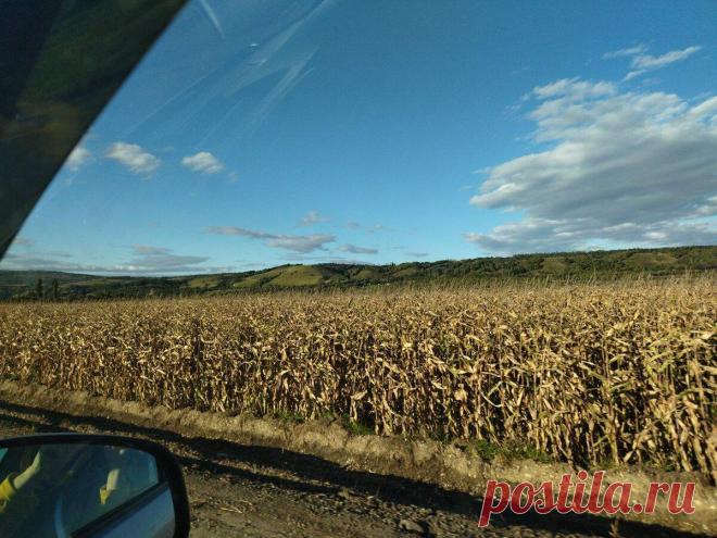 Заглянула в осенний старинный яблоневый сад, и путешествие по Кубани продолжается
Мы с удовольствием смотрим и узнаём как выглядят на дереве мандарины, гранаты, бананы, а я сегодня хочу провести читателя по старым Кубанским садам и посмотреть, как же растут не заморские, а наши яблочки. А дорога в Кубанскую станицу ни чуть не хуже самих садов, посмотрите, какая красота! Кукуруза на полях уже готова к уборке. Кукуруза […]
Читай дальше на сайте. Жми подробнее ➡