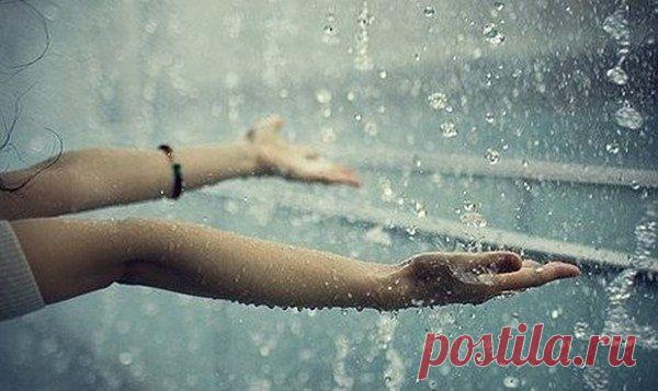 Практика «Принятия» от Фрэнка Кинслоу - rastimul.com.ua