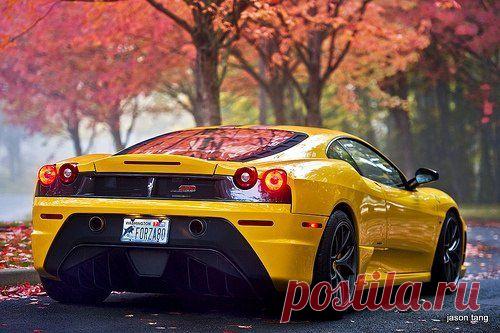 Ferrari F430 / Только машины