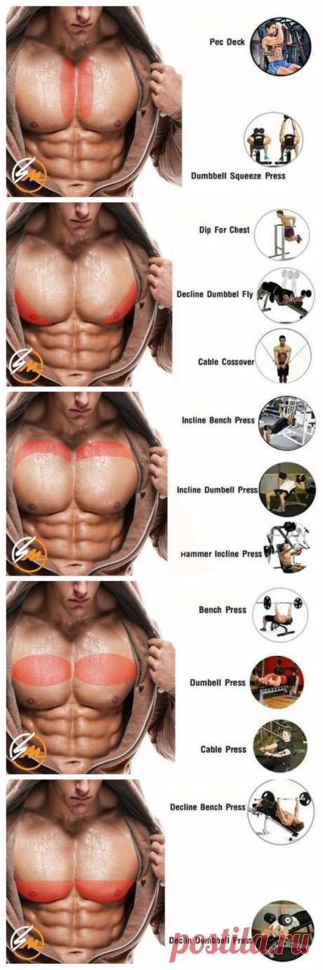 (338) b31e9bfe598a3af7b3ba032573440604.jpg 750×2,250 pixels | I WORK OUT!