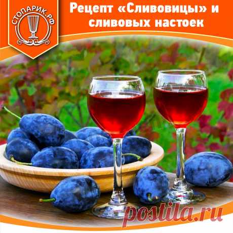 Рецепт «Сливовицы» и сливовых настоек | стопарик.рф - гони, вари своё | Дзен