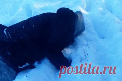В сети появилось фото с погибшим экс-депутатом Верховной Рады Кивой. В сети появилась предположительная фотография экс-депутата Верховной Рады Ильи Кивы после расправы над ним в Подмосковье. Кадр, а также видео места, где его поджидал киллер, опубликовали украинские СМИ. На снимке видно, как неизвестный мужчина в черной куртке и капюшоне лежит в снегу лицом вниз.