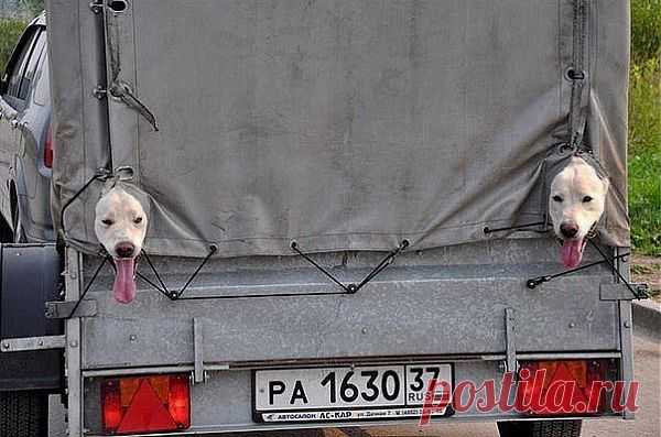 ПОВОРОТНИКИ