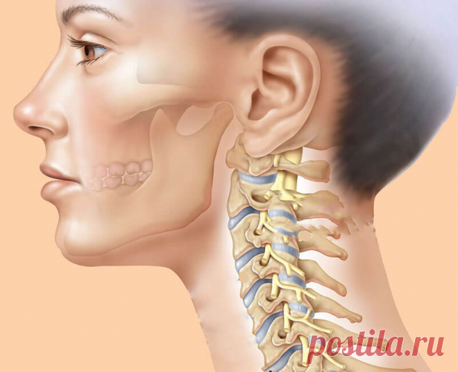 Волшебное средство для решения проблем со зрением и слухом.