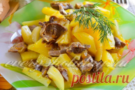 Куриные желудочки, рецепт приготовления тушеных с картошкой