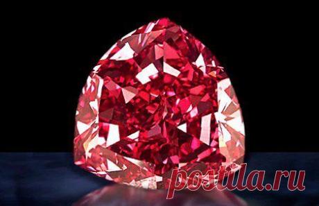 Является одним из самых редких уникальных камней. Пурпурный цвет символизирует царственность, престиж и тайны, благородство и честь. Данный алмаз был найден в единственном экземпляре.