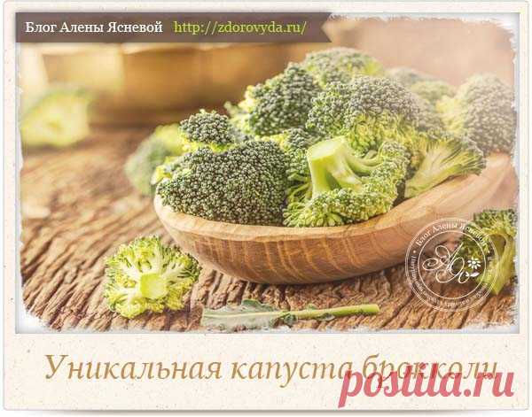 Чем полезна брокколи и как ее есть и готовить правильно ?