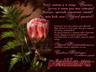 Открытка (плейкаст) «Волшебный Цветок - Зарница» Автор плейкаста: koroleva_1968. Тема: Игры. Когда: 17.10.2009.
