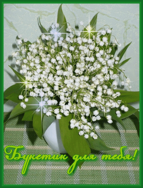 красивые открытки с легким паром мужчине: 32 тыс изображений найдено в Яндекс.Картинках