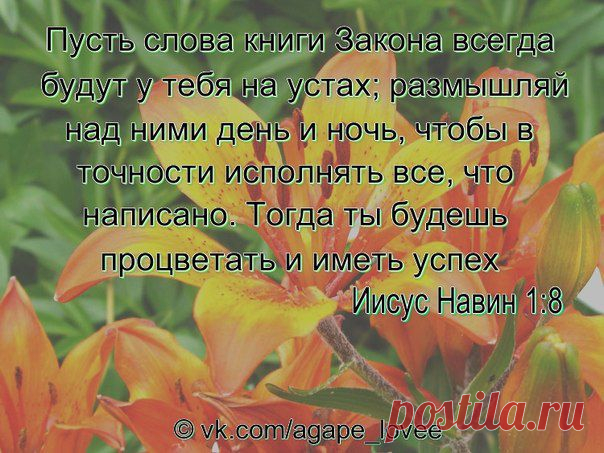 ♥...Агапэ...♥