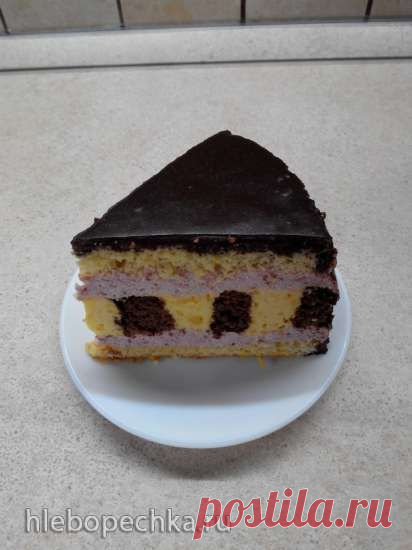 Торт шоколадно-цитрусовый с клубничным муссом - ХЛЕБОПЕЧКА.РУ - рецепты, отзывы, инструкции