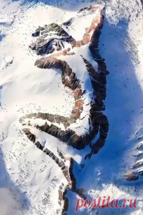 Вы многого о себе не знаете. Зачем люди мучают себя чувством стыда и вины
Если вы часто критикуете и вините себя во всех смертных грехах — это явный признак, что вы не видите главную проблему. Вы травите себя почем зря ненужными самообвинениями в том, что яйца выеденного не стоит. Вы цепляетесь к себе по пустякам, чтобы не видеть главного — чего-то более «опасного и постыдного», как вам кажется. Так […]
Читай пост далее на сайте. Жми ⏫ссылку выше