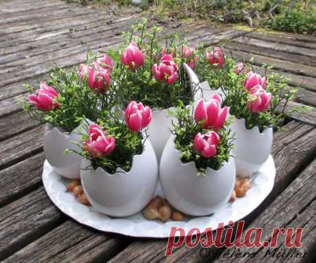 (2725) Pinterest