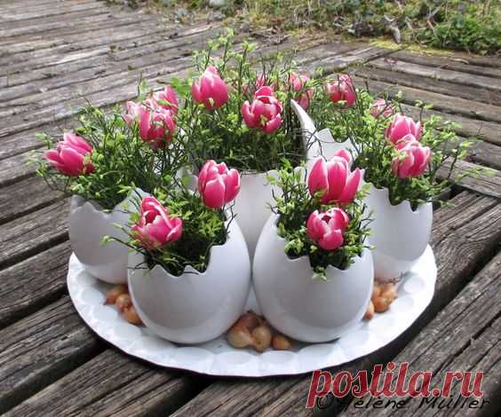 (2725) Pinterest