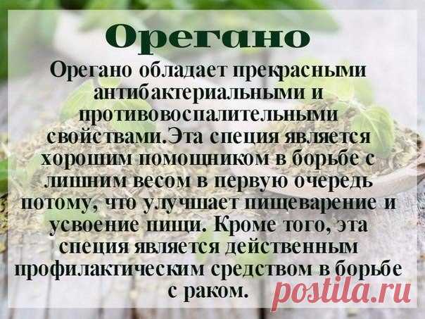 Фото Без названия. Альбом Р В¤Р С•РЎвЂљР С• Р С–РЎР‚РЎС“Р С—Р С—РЎвЂ№ - 140028 фото. Фотографии Коллекция Рецептов.