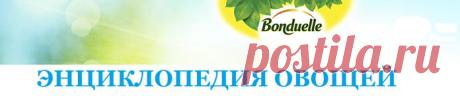 Дневник ЛЮДМИЛКА...