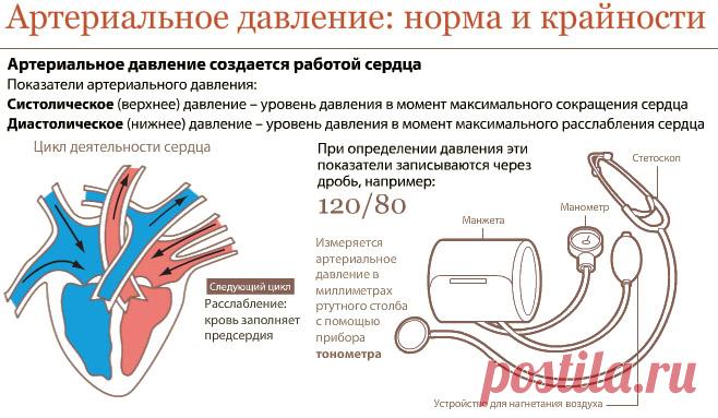 Артериальное давление: нормы, причины повышенного и пониженного, лечение