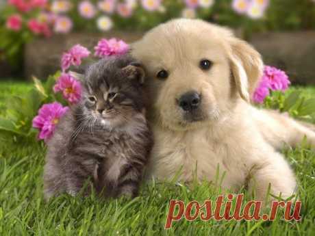 Мой Мир@Mail.Ru
