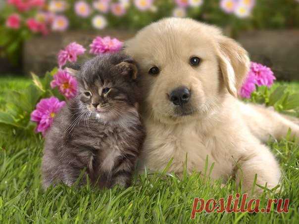Мой Мир@Mail.Ru
