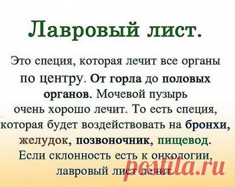 ЛАВРОВЫЙ ЛИСТ В ПОМОЩЬ 🍃