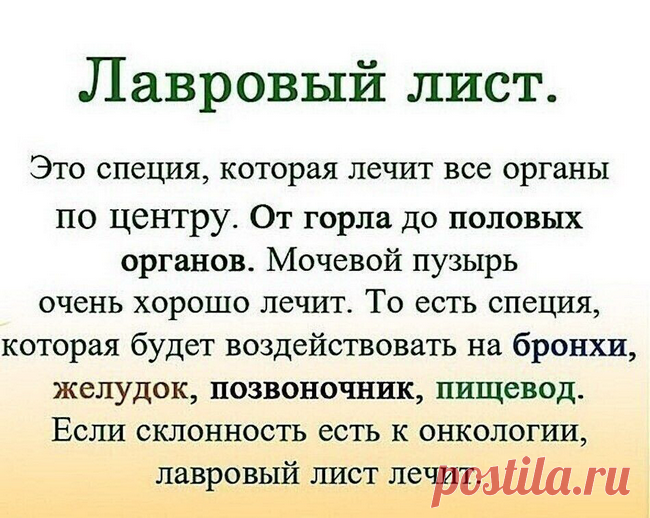 ЛАВРОВЫЙ ЛИСТ В ПОМОЩЬ 🍃