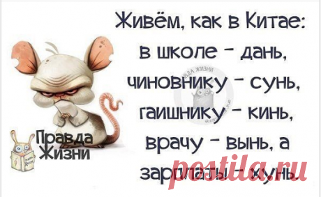 (1) Одноклассники