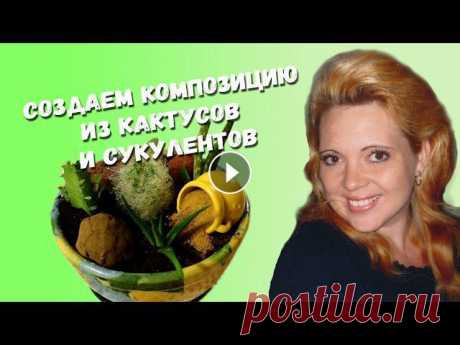 СОЗДАЕМ КОМПОЗИЦИЮ ИЗ КАКТУСОВ И СУККУЛЕНТОВ В новом видео мы вместе с Вами создадим композицию из кактусов и сукулентов. Приятного просмотра!Также ищите множество интересных видео на моем канале...
