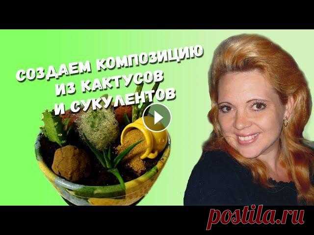 СОЗДАЕМ КОМПОЗИЦИЮ ИЗ КАКТУСОВ И СУККУЛЕНТОВ В новом видео мы вместе с Вами создадим композицию из кактусов и сукулентов. Приятного просмотра!Также ищите множество интересных видео на моем канале...