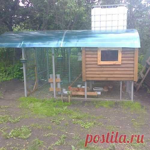 Курятник