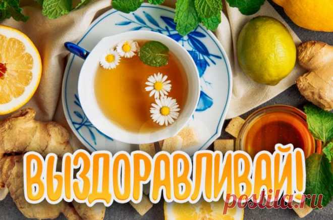 Выздоравливай картинки