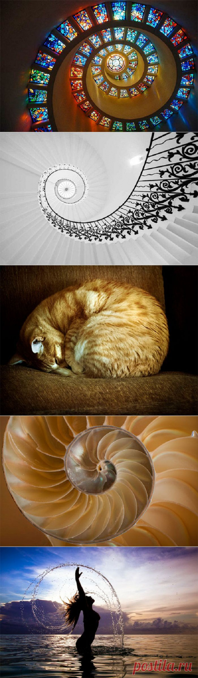 Спираль под прицелом фотокамер | Фотография | Фотография