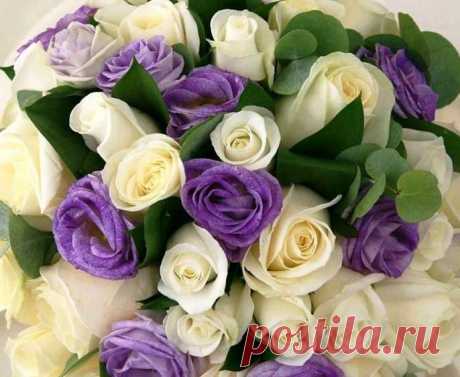 • ♥ • ♥ • ♥ ✫ℒℴνℯ✫ ♥ • ♥ • ♥ •