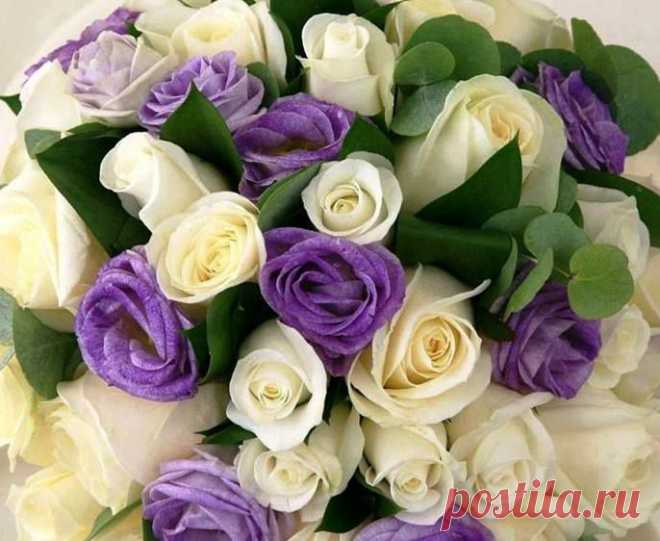 • ♥ • ♥ • ♥ ✫ℒℴνℯ✫ ♥ • ♥ • ♥ •