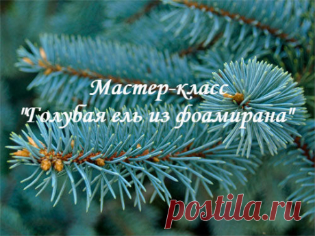 Милые цветочные феи! 
Надеюсь, вы уже ознакомились с первым занятием Новогоднего интенсива! 
(подробнее об мероприятии здесь - https://schoolkhvalyova.com/ng_intensiv)

Первое занятие посвящено созданию веточки голубой ели!
Показать полностью…