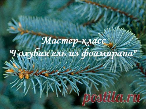 Милые цветочные феи! 
Надеюсь, вы уже ознакомились с первым занятием Новогоднего интенсива! 
(подробнее об мероприятии здесь - http://schoolkhvalyova.com/ng_intensiv)

Первое занятие посвящено созданию веточки голубой ели!
Показать полностью…