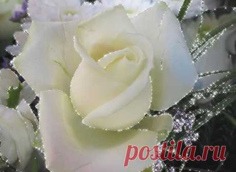 animacija12.gif (1006×735)