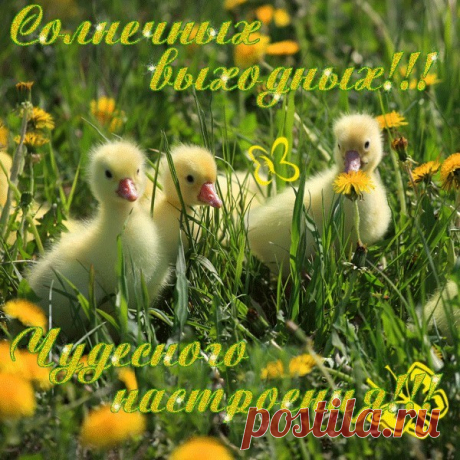 (14) Мой Мир@Mail.Ru
