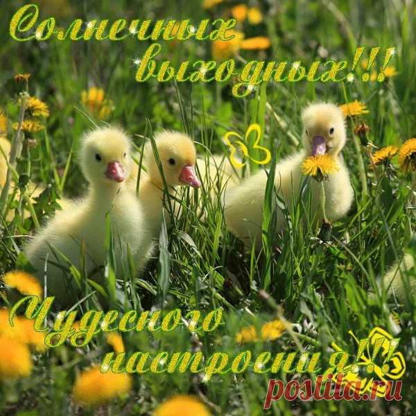 (14) Мой Мир@Mail.Ru