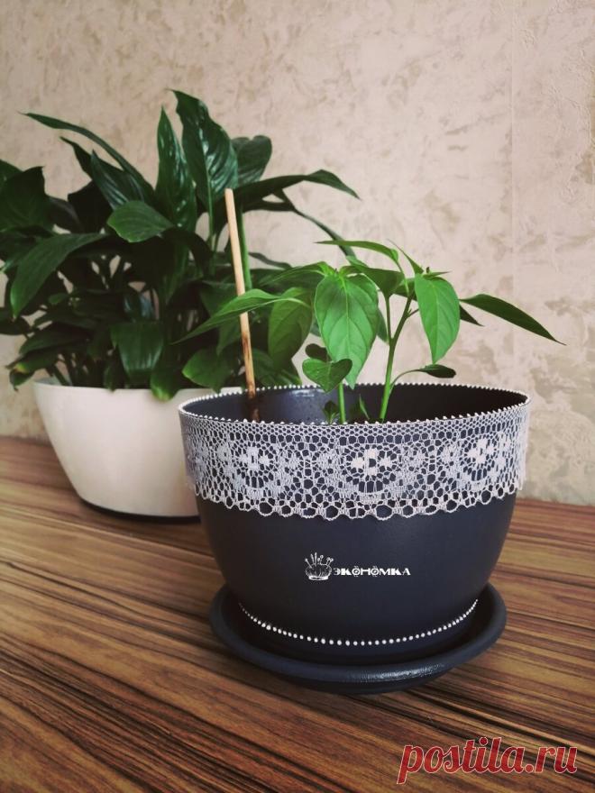 Украсила старый цветочный горшок так, что не узнать, показываю, что получилось | Экономка | Яндекс Дзен