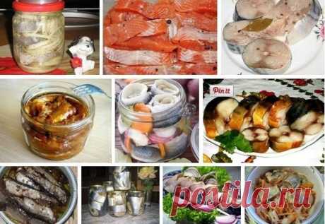 Солёная, маринованная, копчёная рыбка легко!
Самые вкусные рецепты!

1. СКУМБРИЯ ЗА ТРИ МИНУТЫ!

" Этот рецепт маме рассказала продавщица рыбы на рынке. Он настолько элементарный, что я поразилась такому отличному результату. Конечно это а-ля копченая скумбрия , так как копчением в рецепте и не пахнет, но вкус у рыбки великолепный.

Ингредиенты:

Скумбрия (средняя) — 1 шт
Луковая шелуха (сколько есть, на глаз)
Соль (ложки без верха) — 5 ст.л.
Вода — 1 л

Приготовление:

Лу...