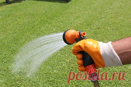 (+1) - Уход за газоном | Полезные советы