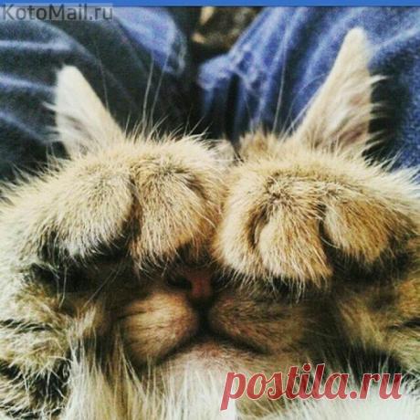 Стеснительный я