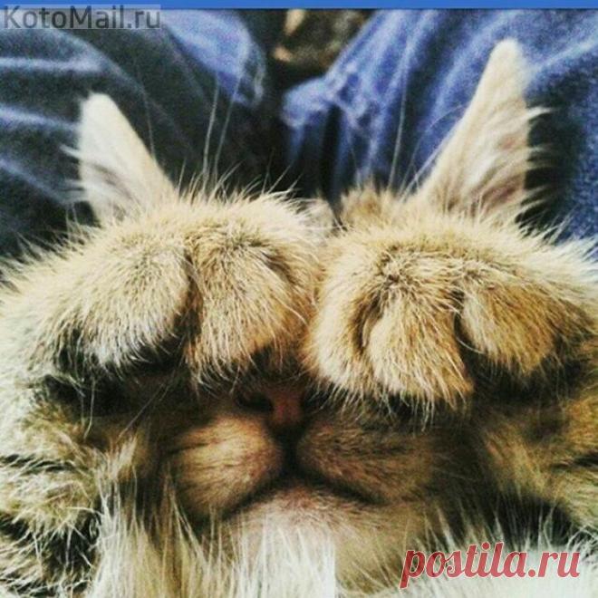 Стеснительный я