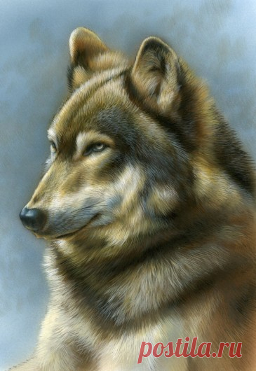Миниатюрная живопись Timberwolf | Картины дикой природы и природы Ребекки Лэтэм