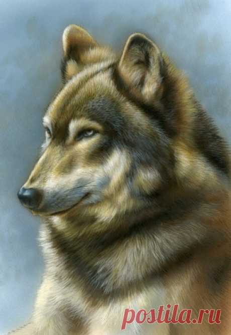 Миниатюрная живопись Timberwolf | Картины дикой природы и природы Ребекки Лэтэм